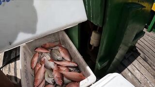 Флорианополис: морская рыбалка у острова Молекес-ду-Сул