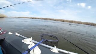 Астраханские раскаты: 50 км на ПВХ лодке до каспийских ям
