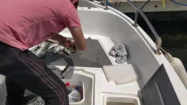 Многовидовая рыбалка в Измире