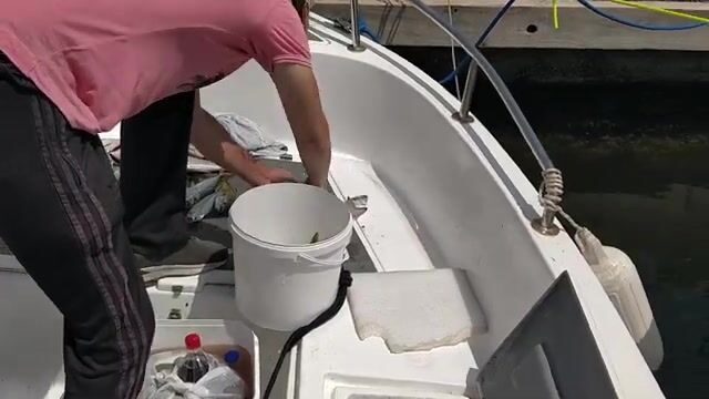 Многовидовая рыбалка в Измире