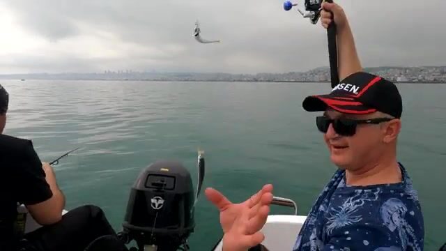 Ставрида и готовка на лодке у Самсуна