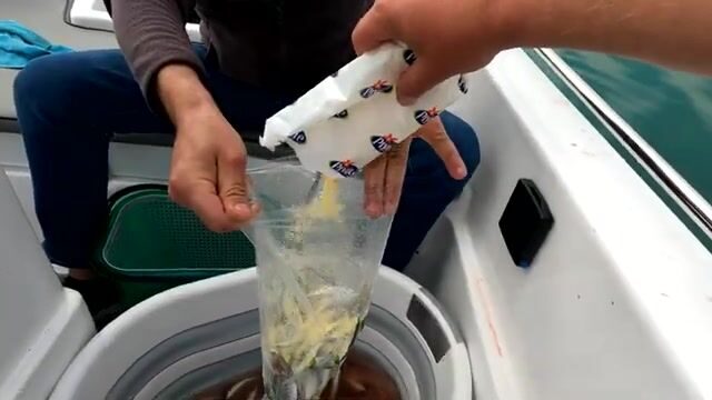 Ставрида и готовка на лодке у Самсуна