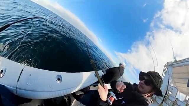 Морская рыбалка у Марина-дель-Рей