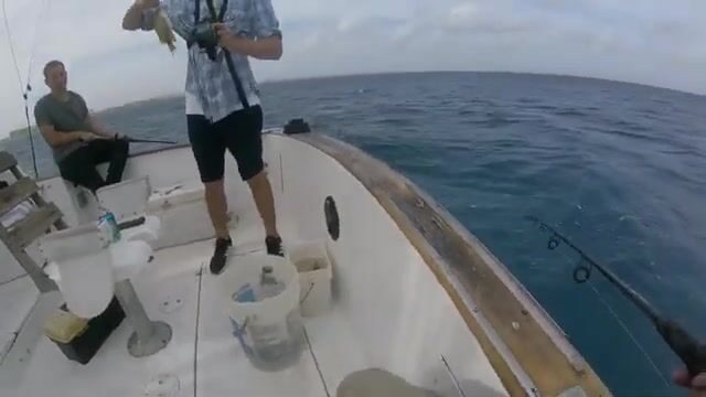 Донная рыбалка на Арубе со спинорогом вместо групера