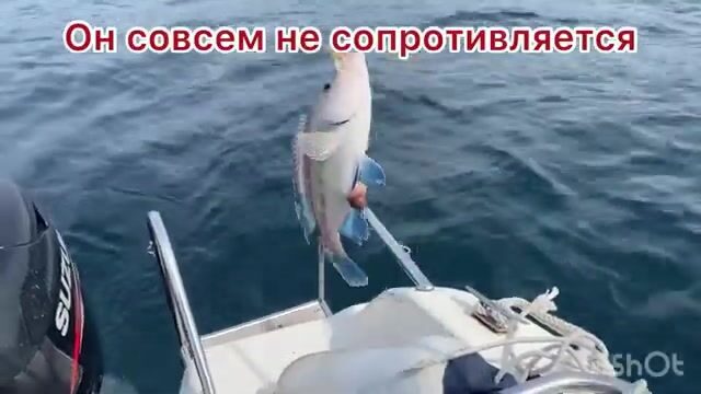 Утренняя морская рыбалка у Большого Утриша