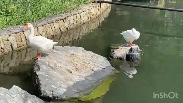 Утренняя морская рыбалка у Большого Утриша
