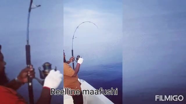Спортивная рыбалка Reelline у Маафуши