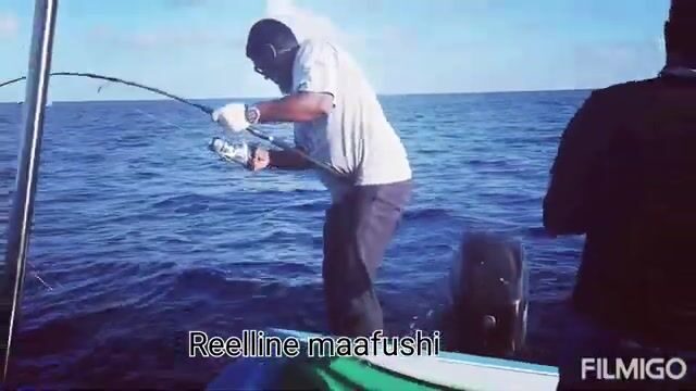 Спортивная рыбалка Reelline у Маафуши
