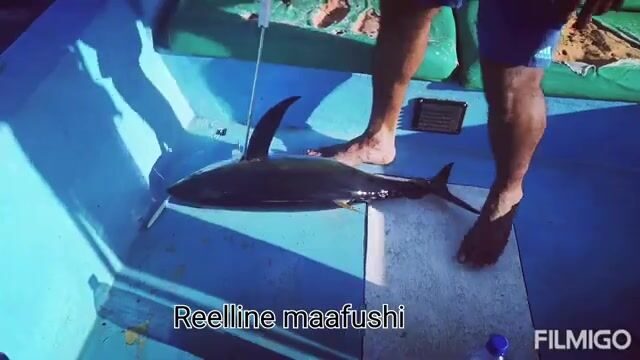 Спортивная рыбалка Reelline у Маафуши