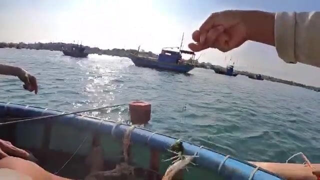 Ловля на водоросли в Муйне