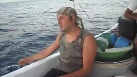 Молодая пеламида и небольшие морские пагры в Газипаше