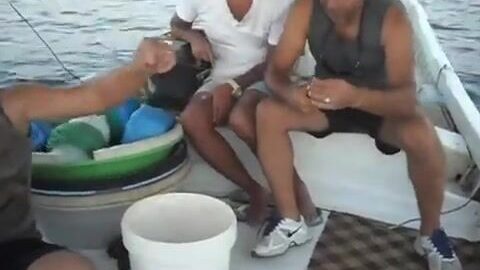 Молодая пеламида и небольшие морские пагры в Газипаше