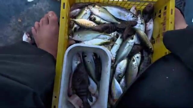 Рыбалка с круглой лодки в районе Хон Ром в Муйне