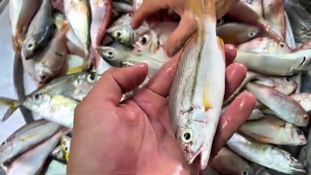 Рыбалка с круглой лодки в районе Хон Ром в Муйне