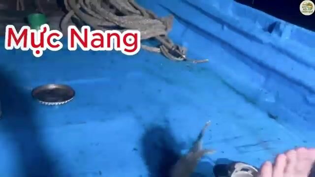 Ночная ловля кальмара с рыбаками в прибрежных водах Муйне