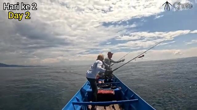 Поппинг на гигантского каранкса в водах Раджа-Ампат