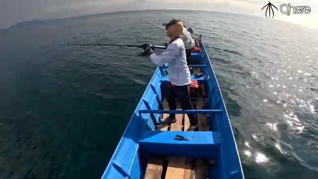 Поппинг на гигантского каранкса в водах Раджа-Ампат