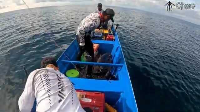 Поппинг на гигантского каранкса в водах Раджа-Ампат