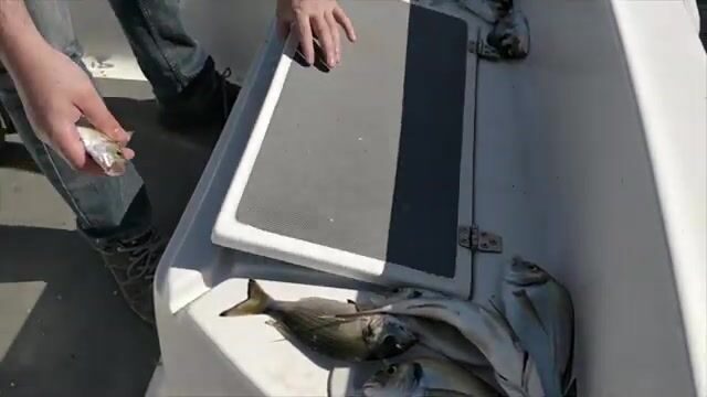 Выход в море у Измира с лодки