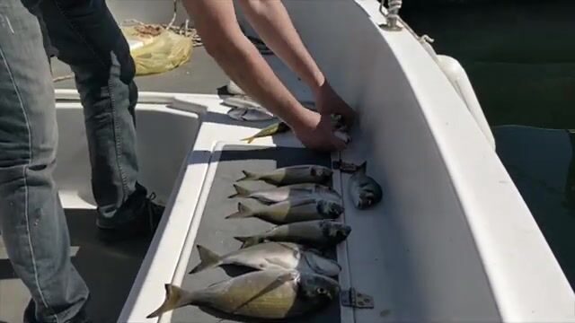 Выход в море у Измира с лодки