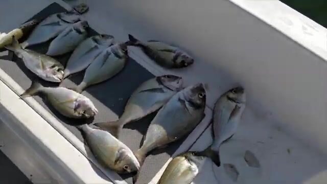 Выход в море у Измира с лодки