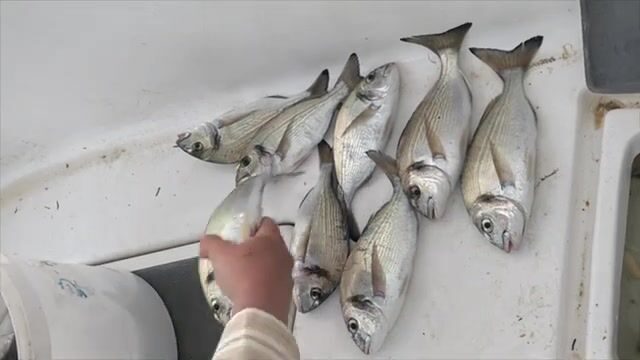 Выход в море у Измира с лодки