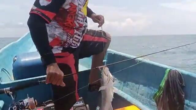 Арафурское море: двойная засечка и крупная красная рыба