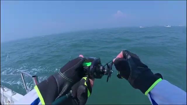 Ловля сабли-рыбы и скумбрии у Циндао, Желтое море