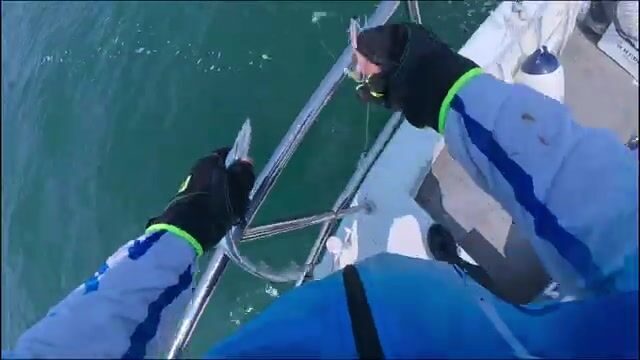 Ловля сабли-рыбы и скумбрии у Циндао, Желтое море