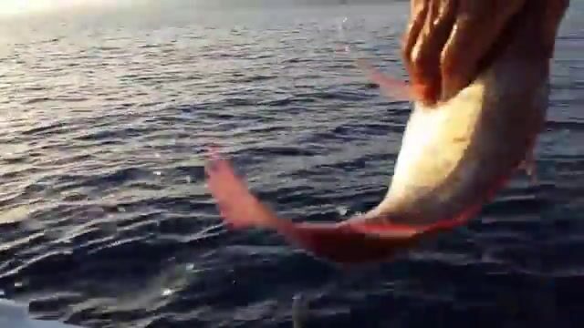 Лодочная рыбалка у Малаги и запись для братьев