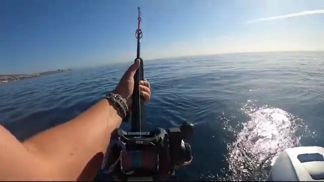 Троллинг на малых тунцов у берегов Малаги