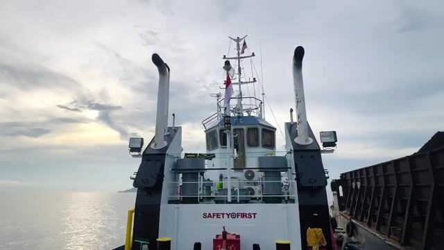Морской сом у острова Реданг