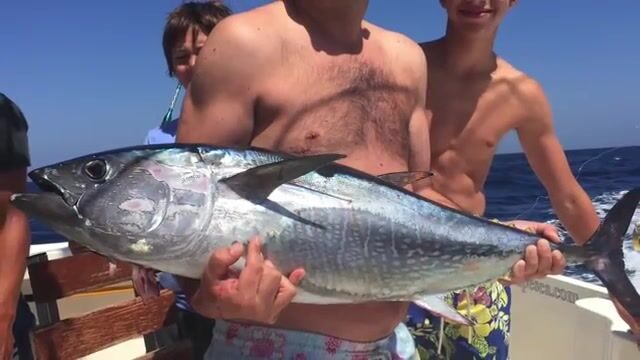 Чартер на тунца и марлина из Марбельи, Средиземное море