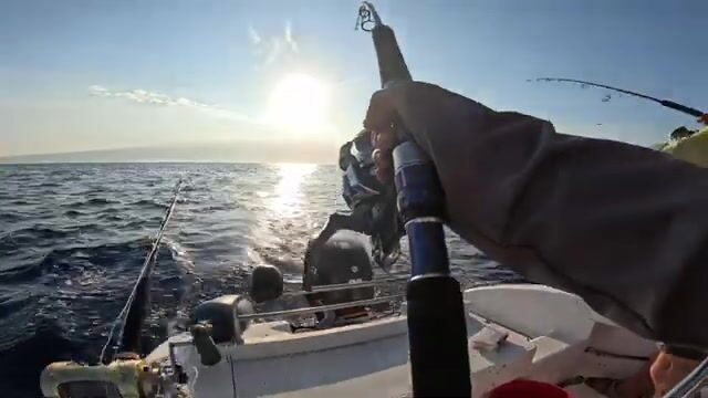 Троллинг у буя и донная ловля на 70 метрах на Реюньоне