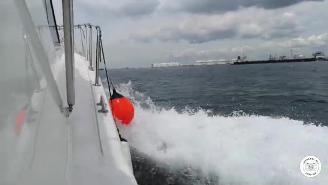 Наконец-то вышли на ловлю у Сентозы