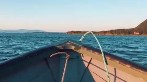 Залив Бей-оф-Айлендс на Ньюфаундленде: скумбрия и треска