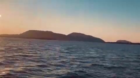 Залив Бей-оф-Айлендс на Ньюфаундленде: скумбрия и треска