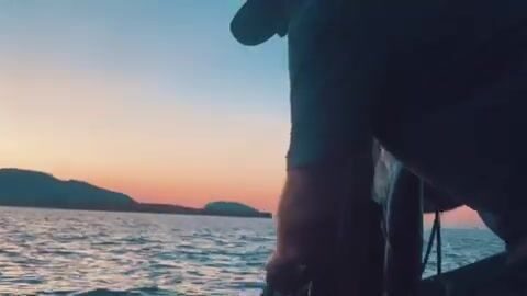 Залив Бей-оф-Айлендс на Ньюфаундленде: скумбрия и треска