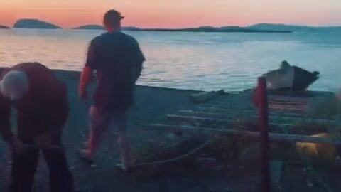 Залив Бей-оф-Айлендс на Ньюфаундленде: скумбрия и треска