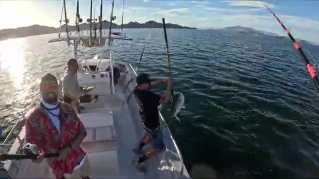 Два дня рыбалки в Баия-де-Лос-Анхелес, Мексика