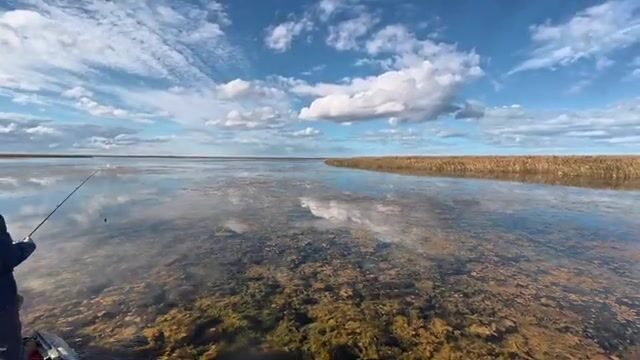 Осенний поиск щуки на Темрюкских лиманах