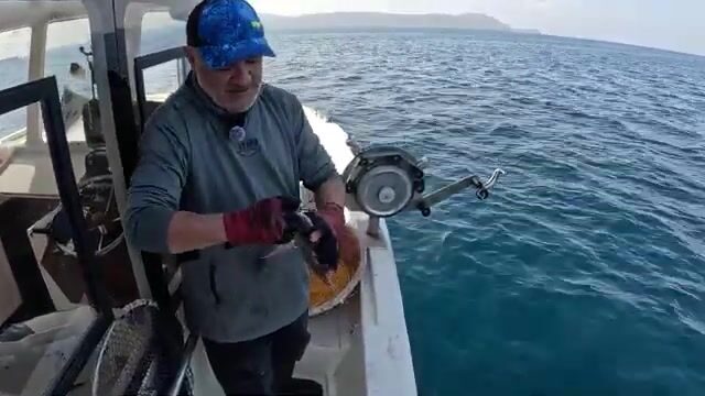 Неожиданный калкан у Гёкчеады