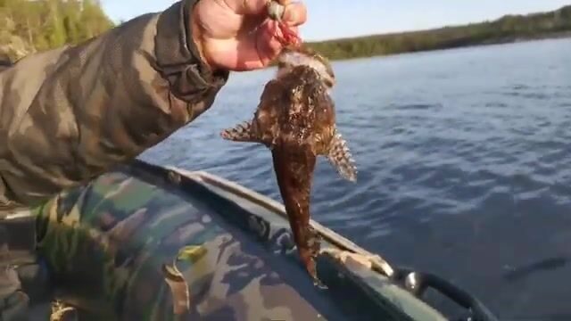 Выход в губу Чупа на Белом море