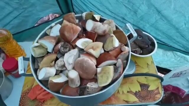 Выход в губу Чупа на Белом море