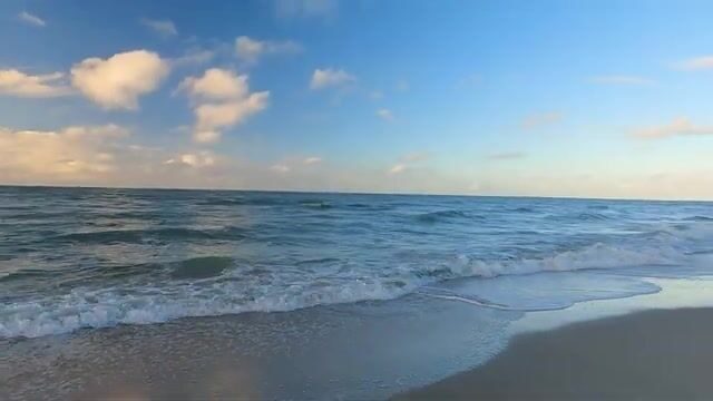 Камбала в Зеленоградске после стихания моря