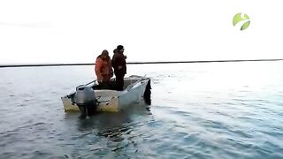 Осенняя рыбалка на Байдарацкой губе Карского моря