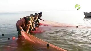 Осенняя рыбалка на Байдарацкой губе Карского моря