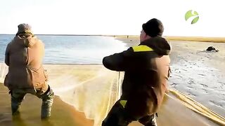 Осенняя рыбалка на Байдарацкой губе Карского моря
