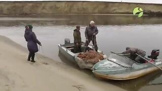 Осенняя рыбалка на Байдарацкой губе Карского моря