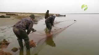 Осенняя рыбалка на Байдарацкой губе Карского моря